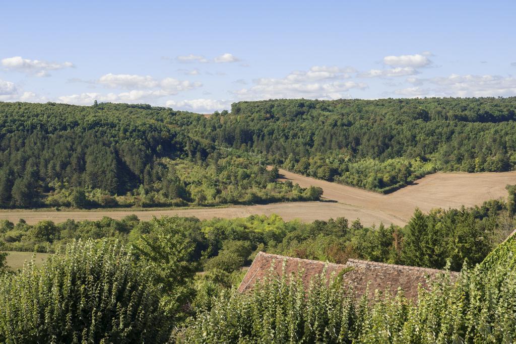 Hotel Restaurant De La Poste & Du Lion D'Or Vézelay Zewnętrze zdjęcie